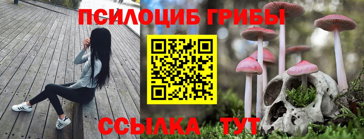 Псилоцибиновые грибы Psilocybine cubensis  Вход с VPN  Псилоцибиновые грибы прущие грибы  Димитровград 