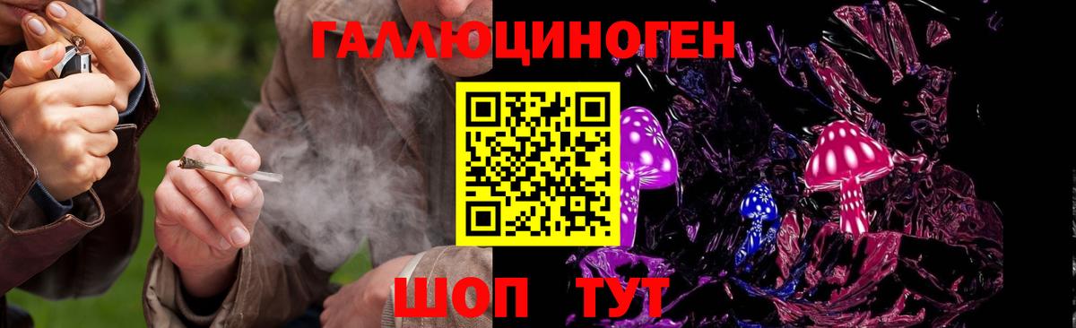 Псилоцибиновые грибы GOLDEN TEACHER Димитровград