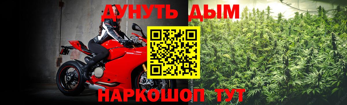 APVP Димитровград